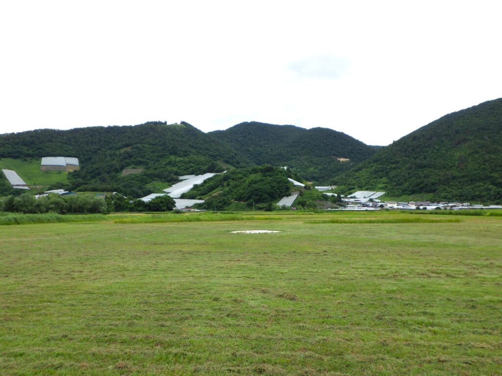 taんｂ